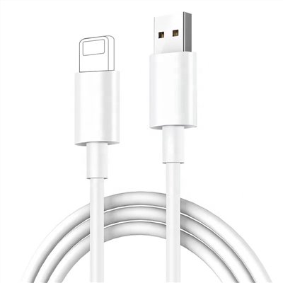十全 充電傳輸線 / USB To 蘋果頭 / GP121